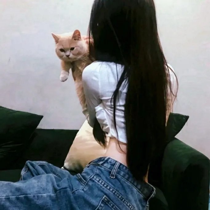淑女绅士 海报