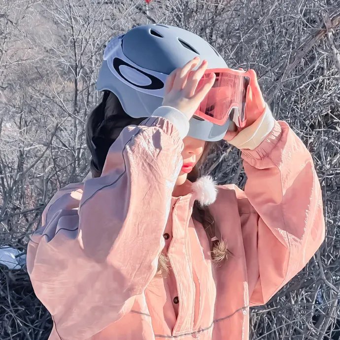 少奇同志在东北 海报