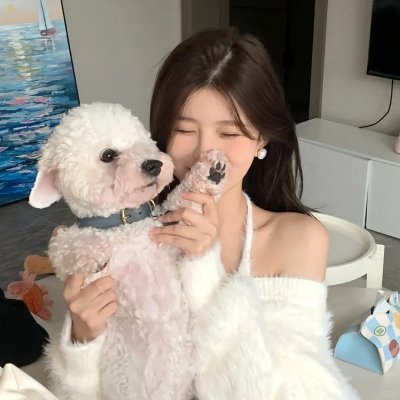 酷爱电影的庞波小姐 海报
